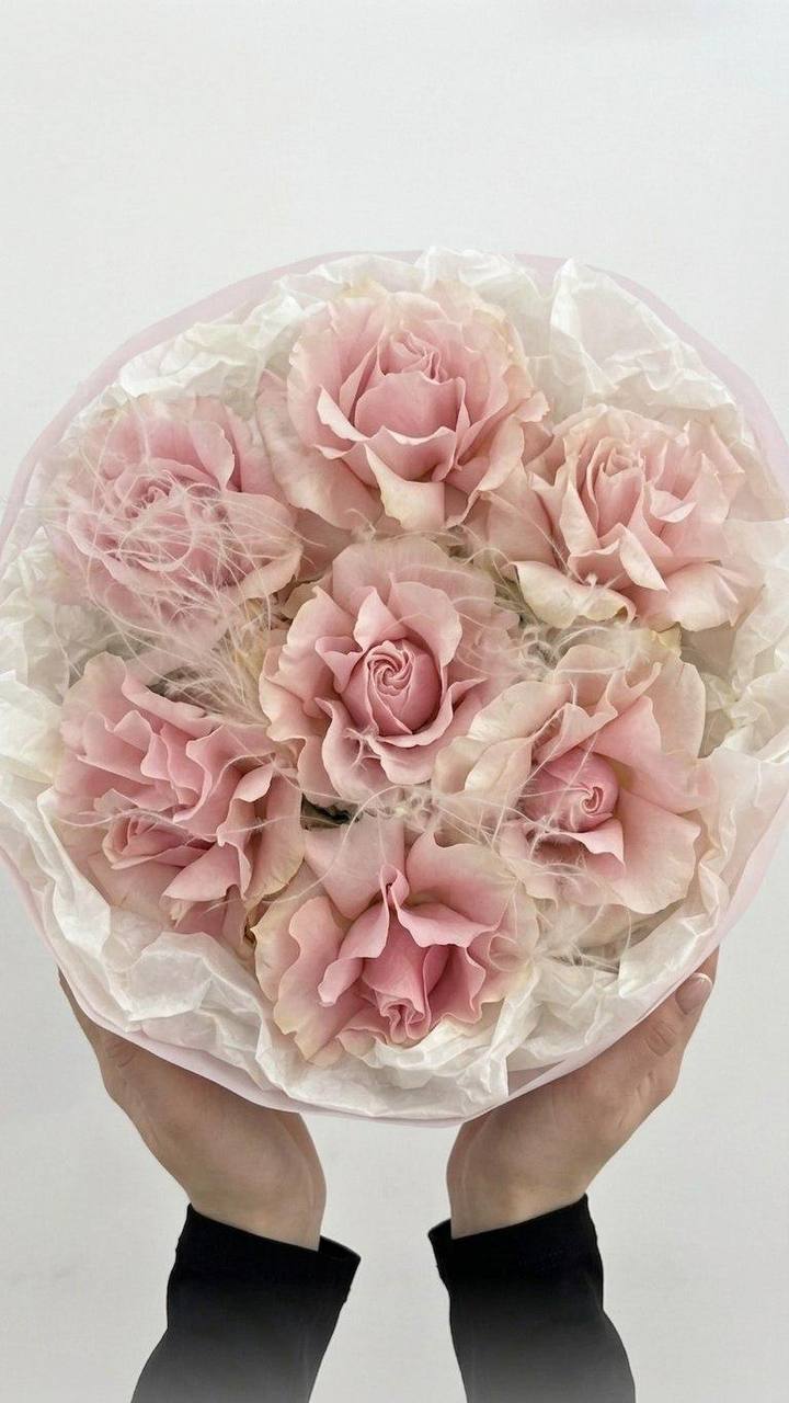 Моно-букет из розовых французских роз